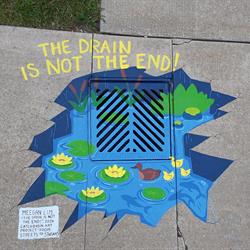 Meegan Lim_The Drain is Not The End!